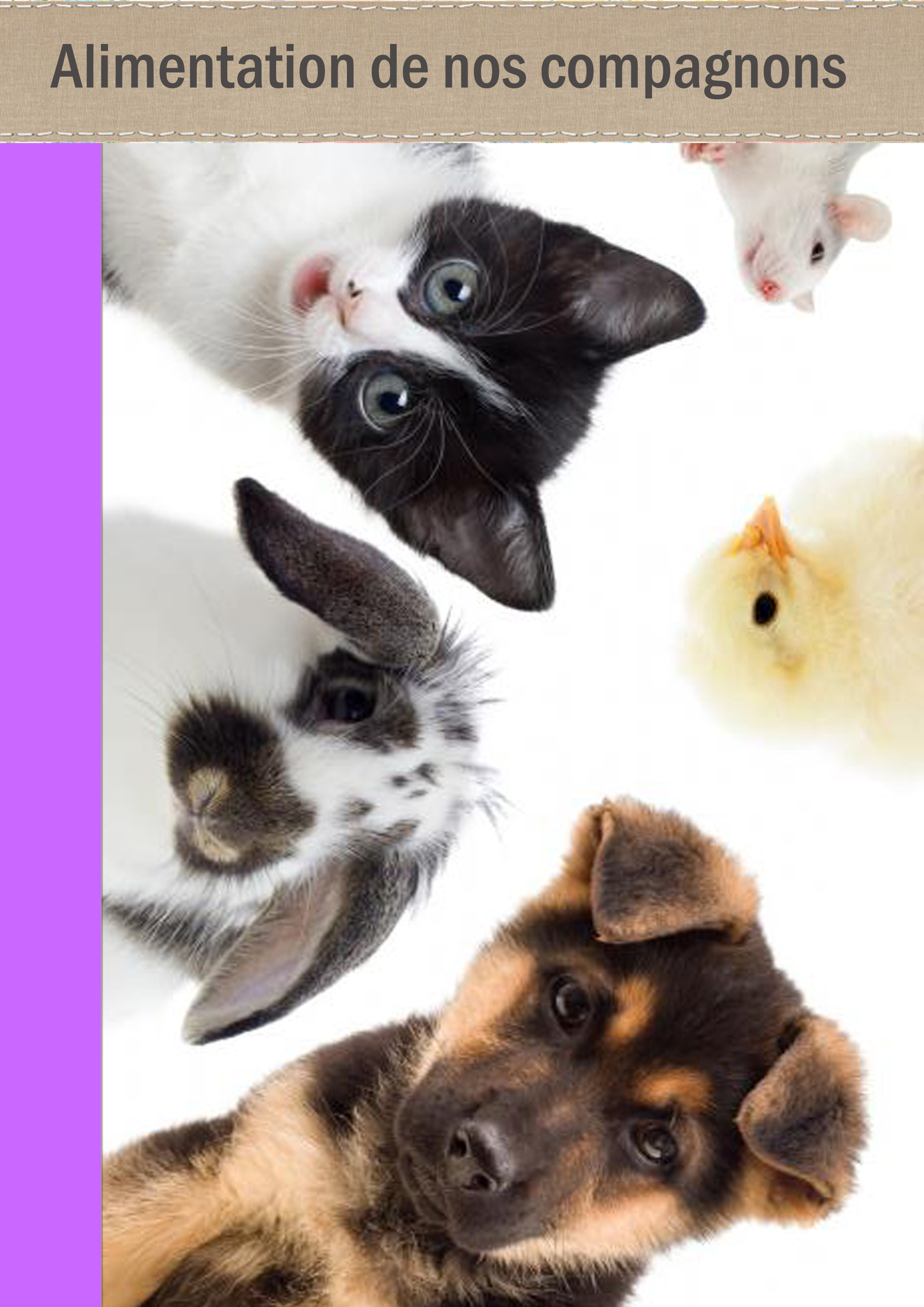 Page 64 Pres alim compagnons