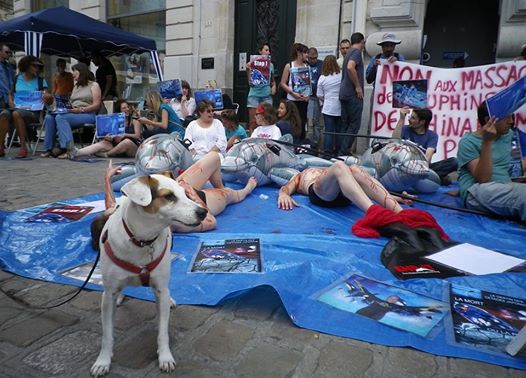 Manifestation à Dijon contre contre l&rsquo;ouverture d&rsquo;un Delphinarium