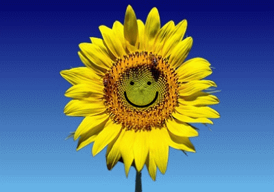 Foire Tournesol Quétigny 24 et 25 Mai 2014