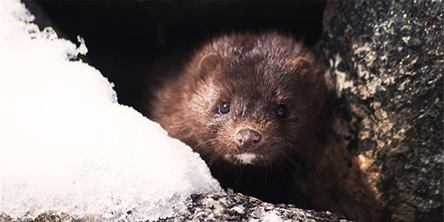 EMAGNY, vous vous rappelez !