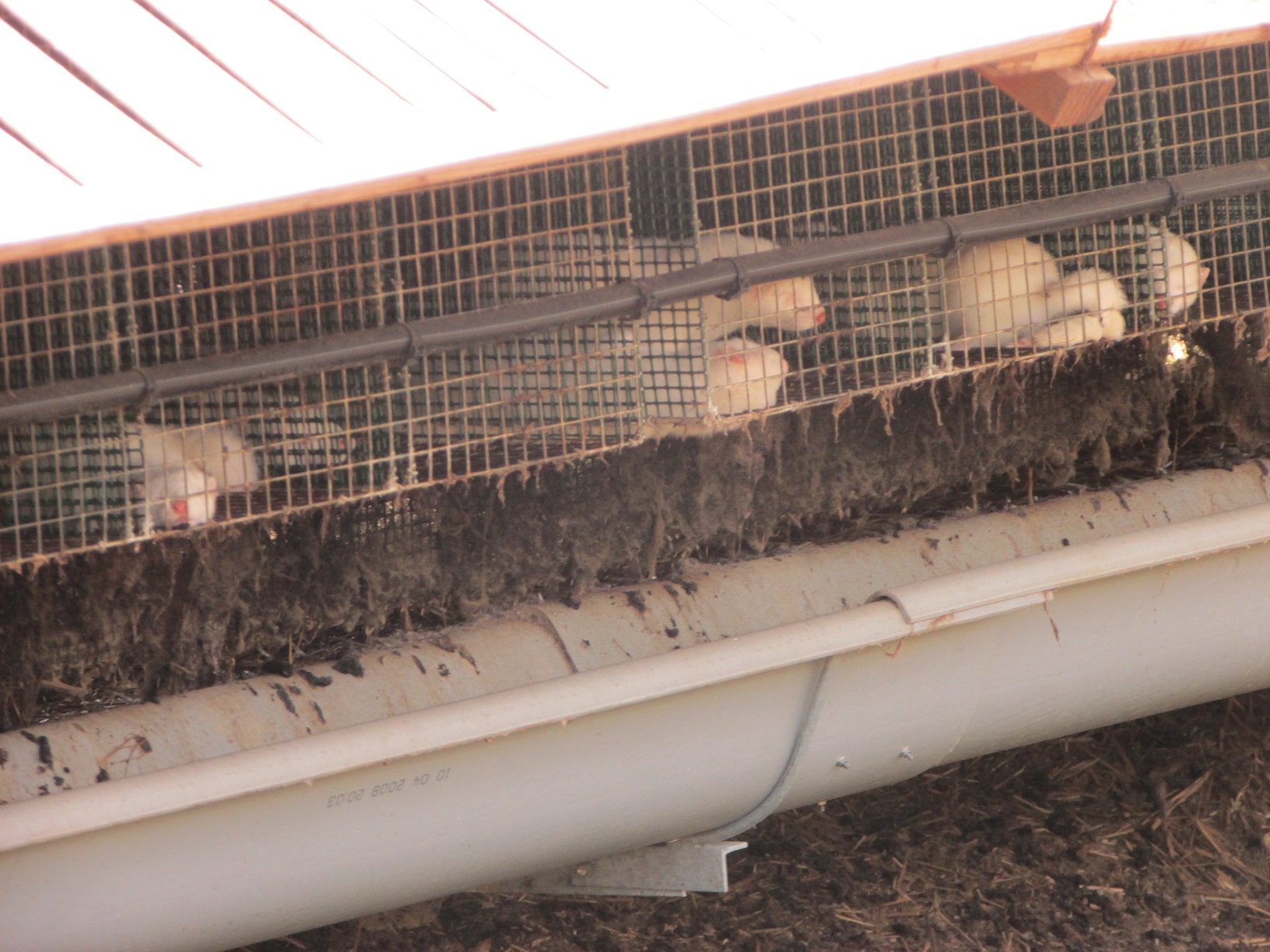 VISONS EN FORÊT, PRÉVENEZ COMBACTIVE