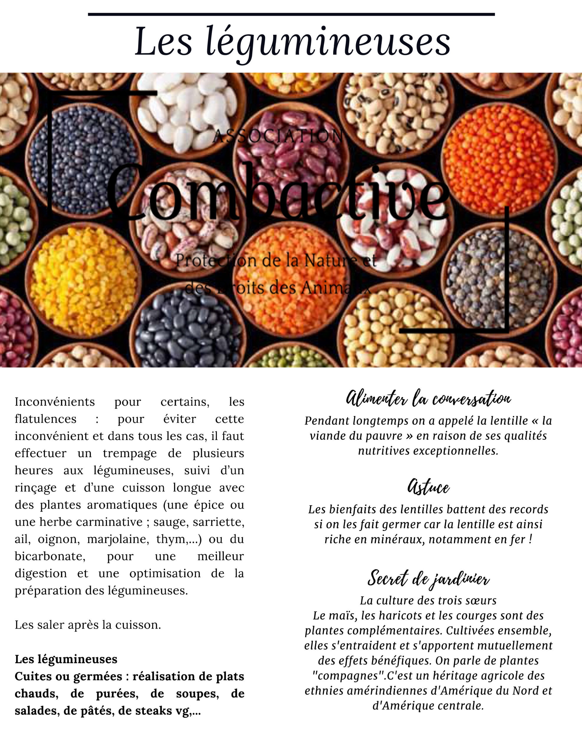 Tout savoir sur les légumineuses