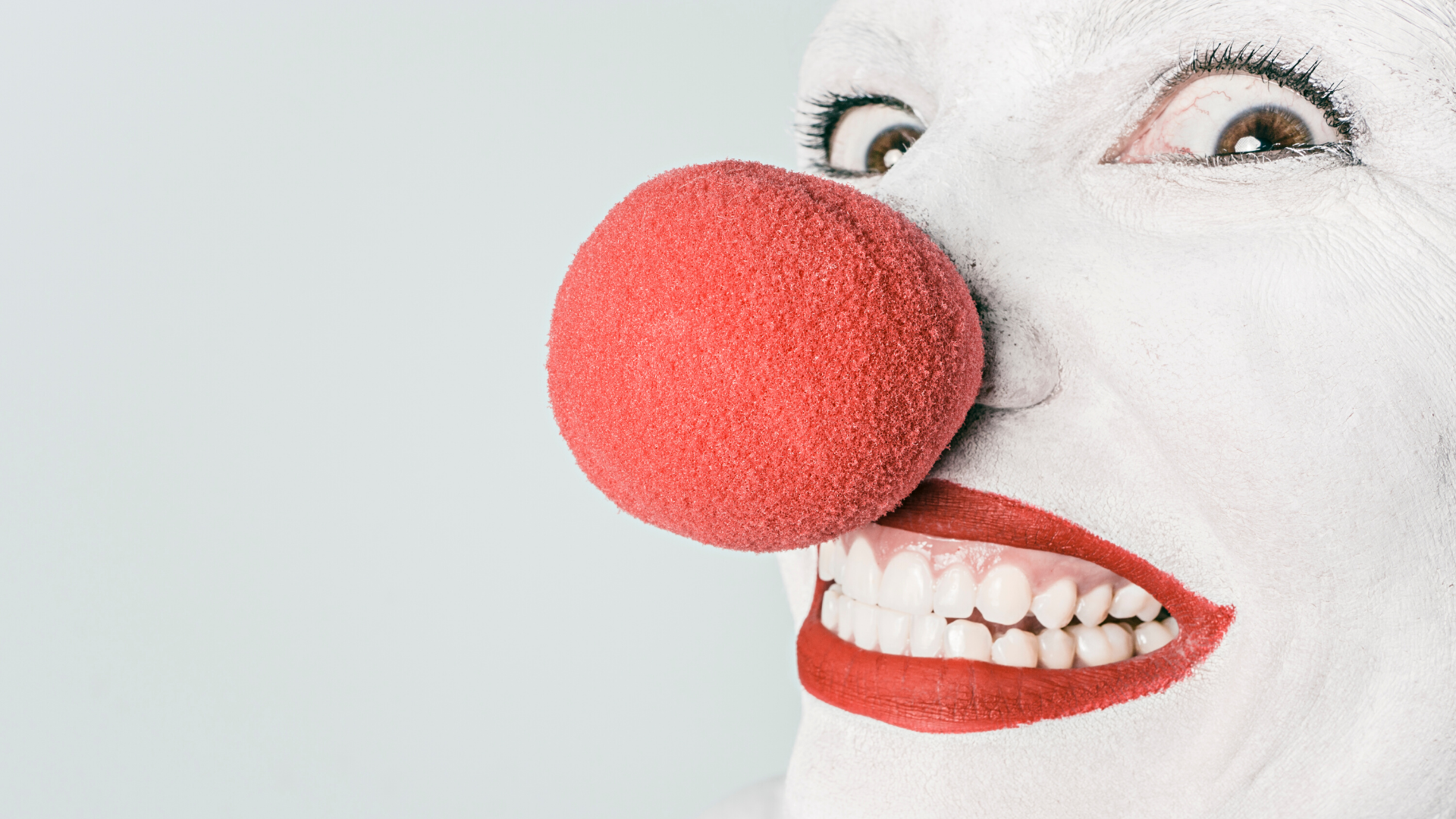 Les cirques à Dijon et alentours