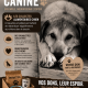 Solidarité canine